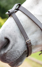 Shires GARA Flash Strap